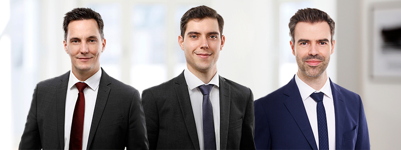 Team-Immigration-Services